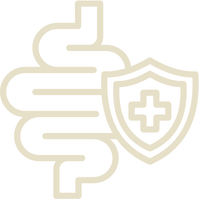 Gut Health Support